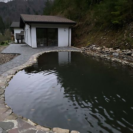 Котедж Грабовець Mizhhirya (Transcarpathia) Luaran gambar