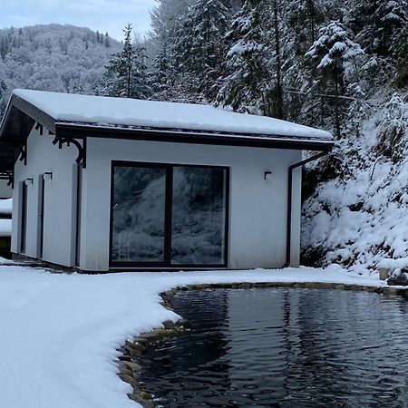Cottage house Mizhhirya  Luaran gambar