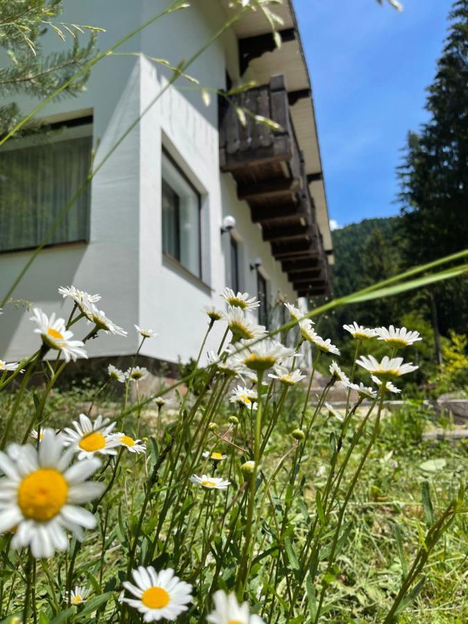 Cottage house Mizhhirya  Luaran gambar
