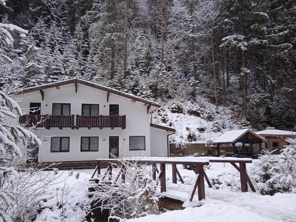 Cottage house Mizhhirya  Luaran gambar