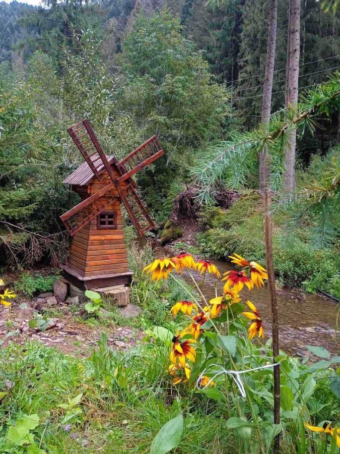 Котедж Грабовець Mizhhirya (Transcarpathia) Luaran gambar