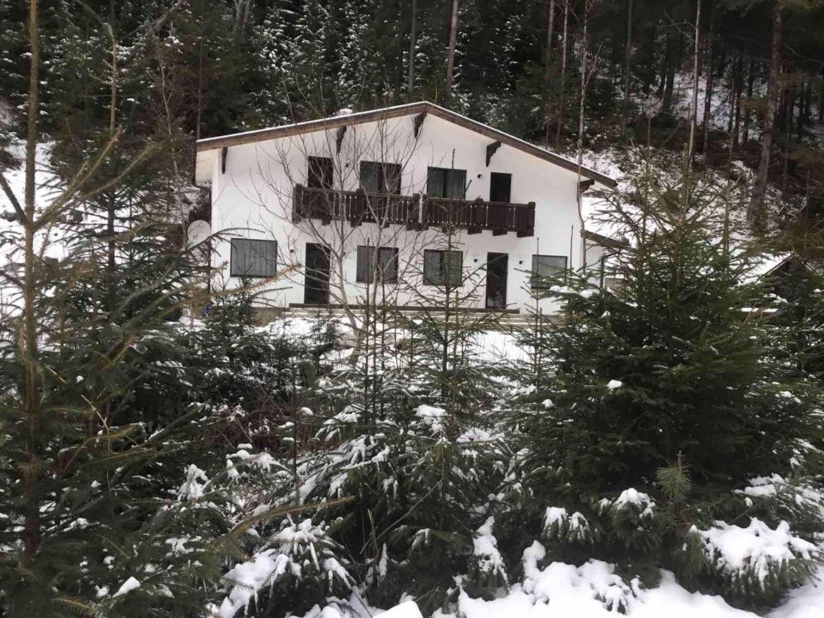 Cottage house Mizhhirya  Luaran gambar