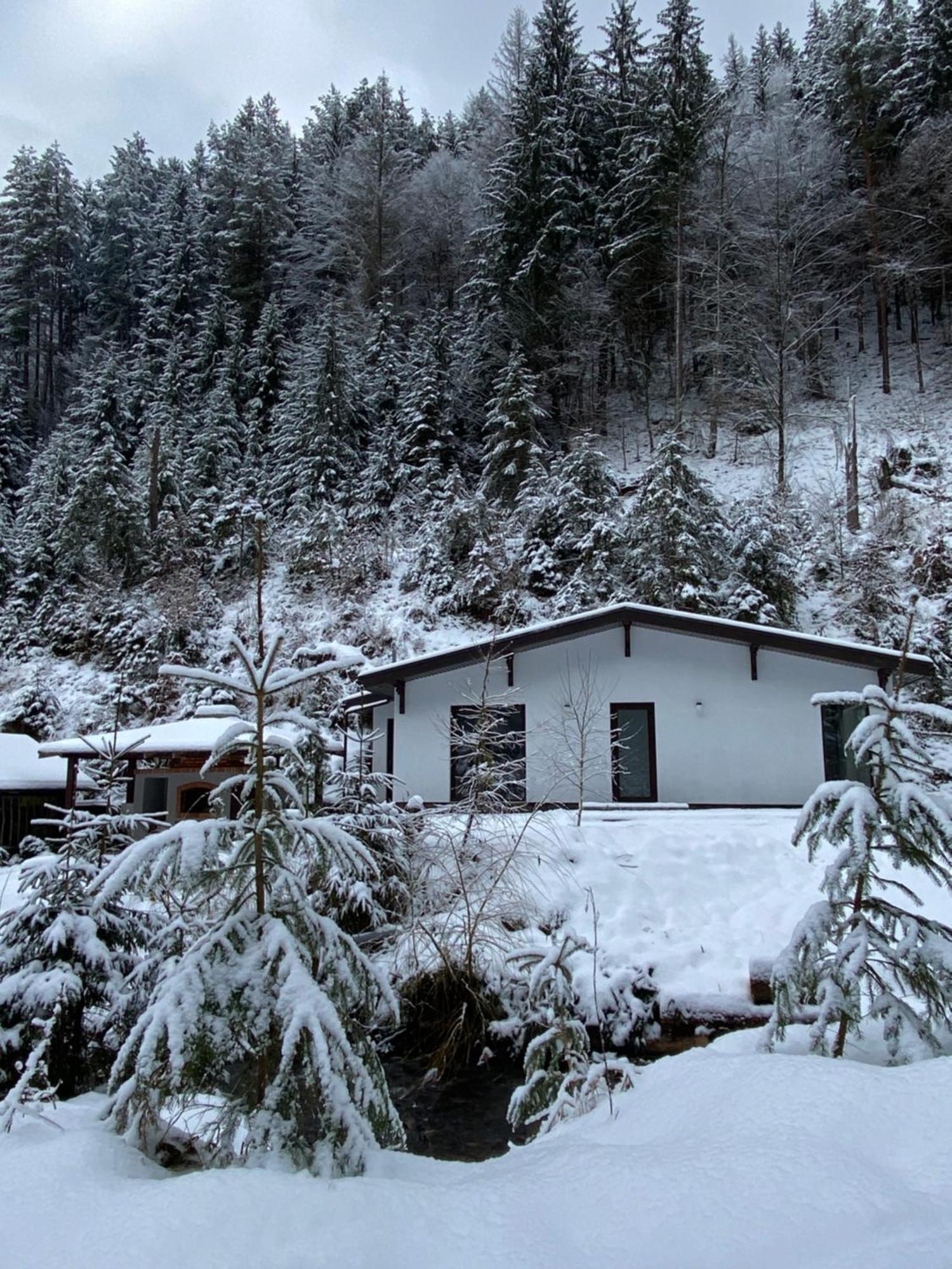 Cottage house Mizhhirya  Luaran gambar